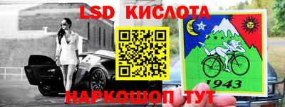 твердый Кингисепп