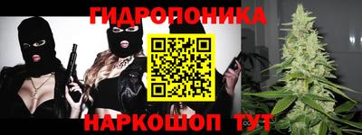 твердый Кингисепп