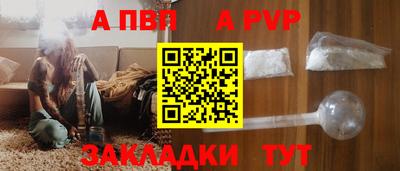 твердый Кингисепп