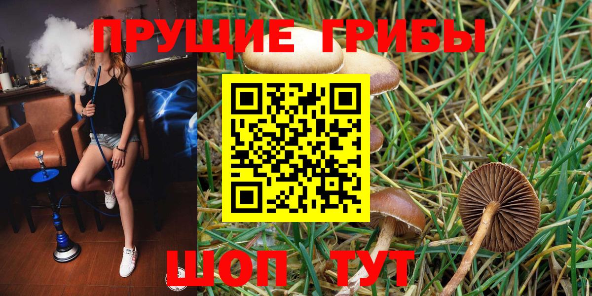 Галлюциногенные грибы мухоморы  Вход с VPN  Чапаевск 